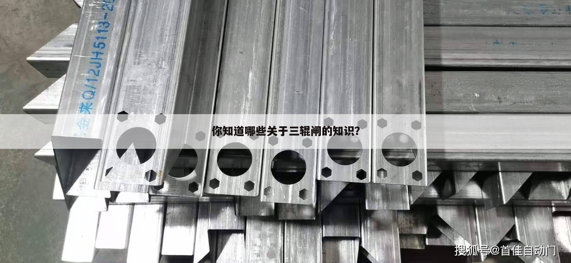 你知道哪些关于三辊闸的知识?