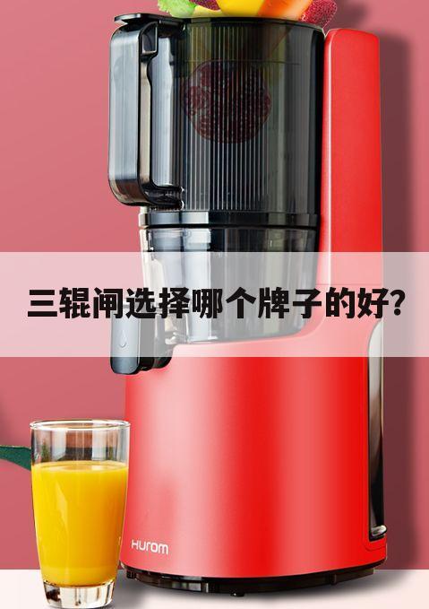 三辊闸选择哪个牌子的好?