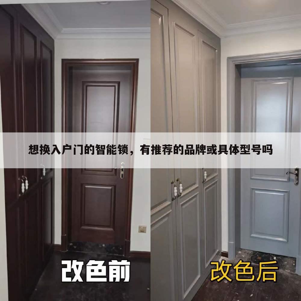 想换入户门的智能锁,有推荐的品牌或具体型号吗