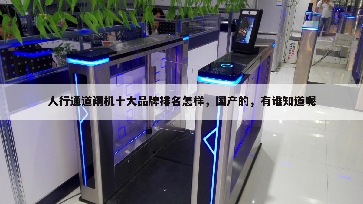 人行通道闸机十大品牌排名怎样,国产的,有谁知道呢