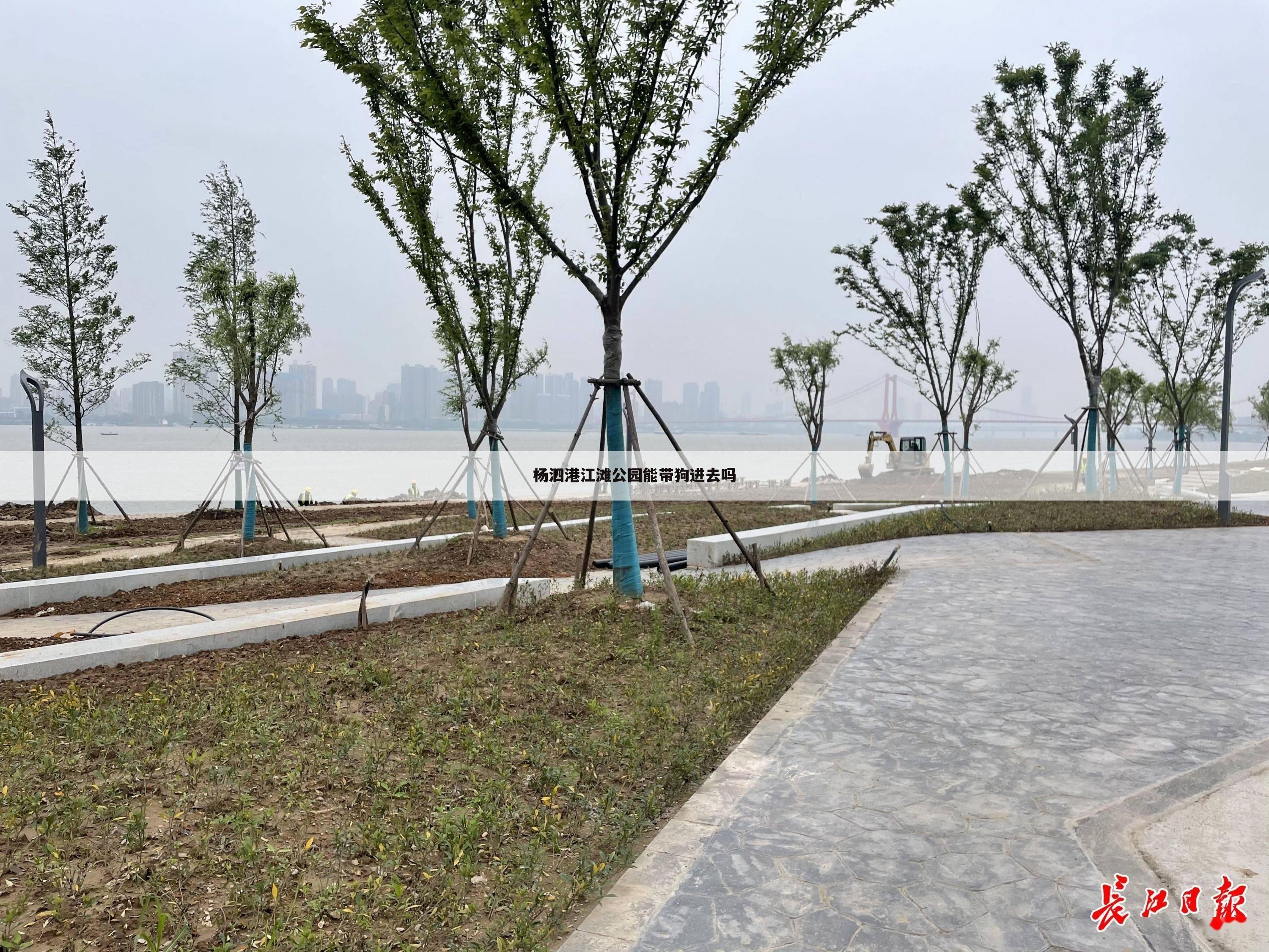 杨泗港江滩公园能带狗进去吗
