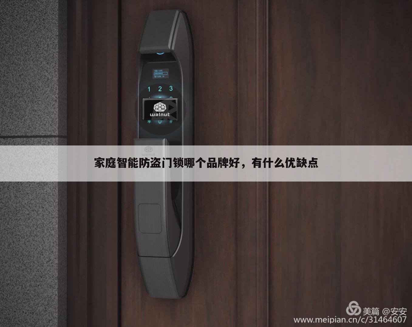 家庭智能防盗门锁哪个品牌好,有什么优缺点