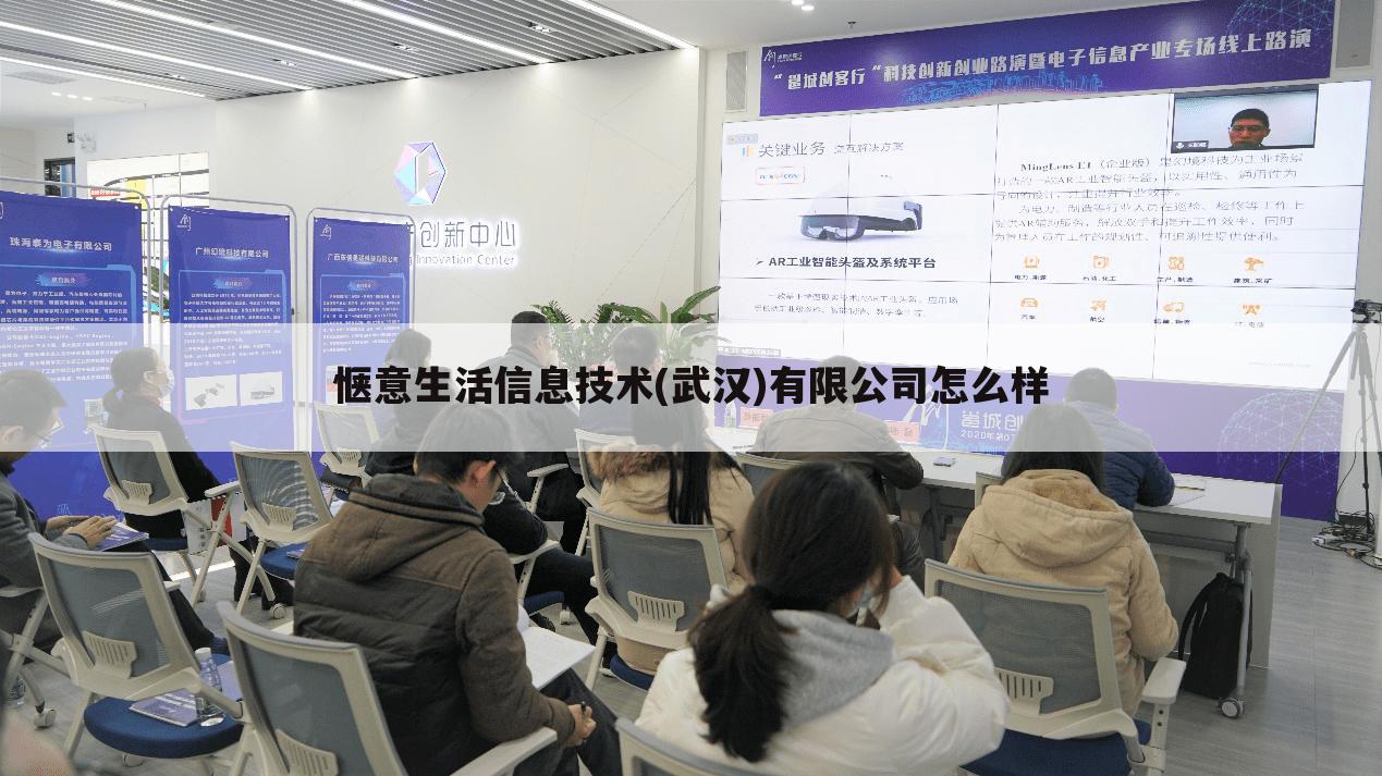 惬意生活信息技术(武汉)有限公司怎么样