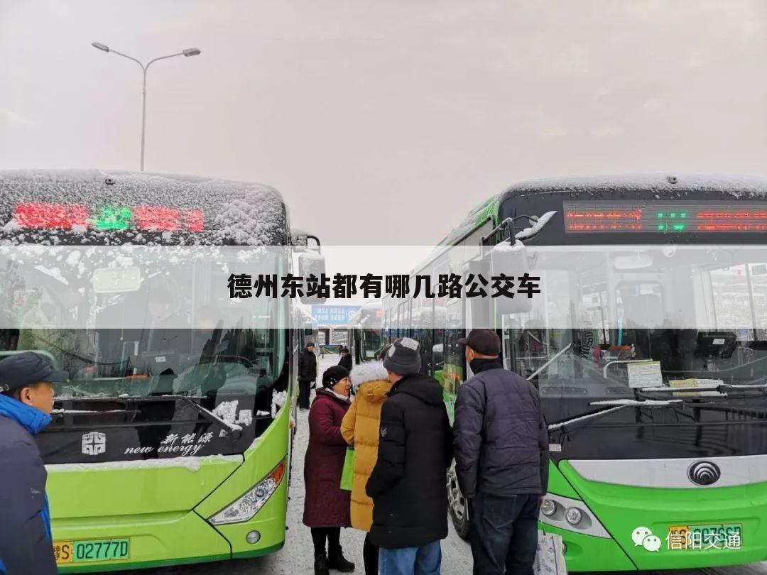 德州东站都有哪几路公交车