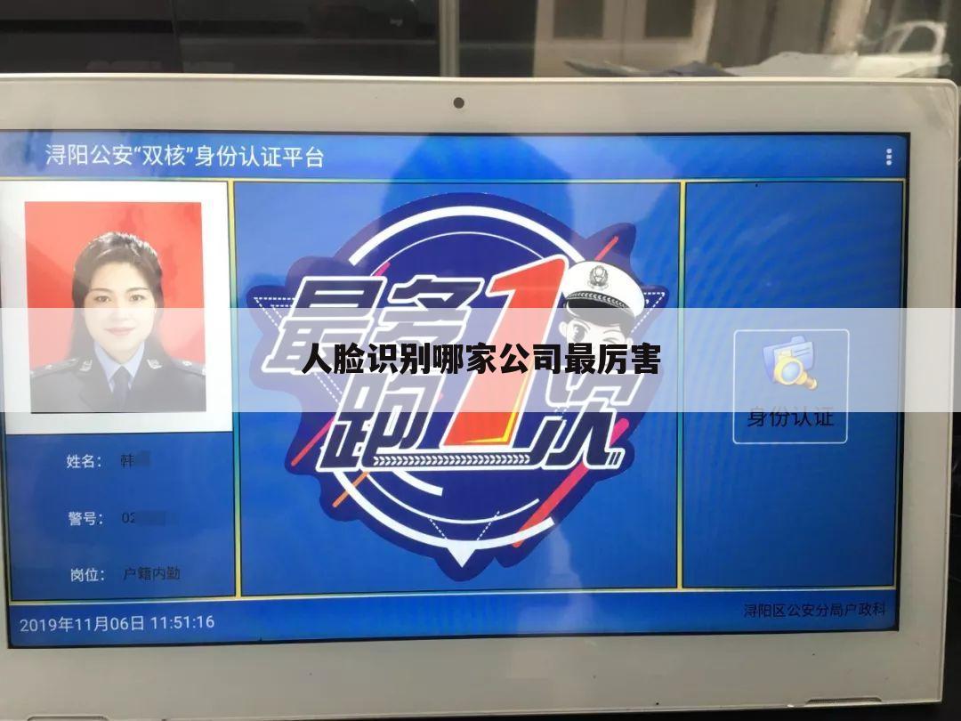人脸识别哪家公司最厉害