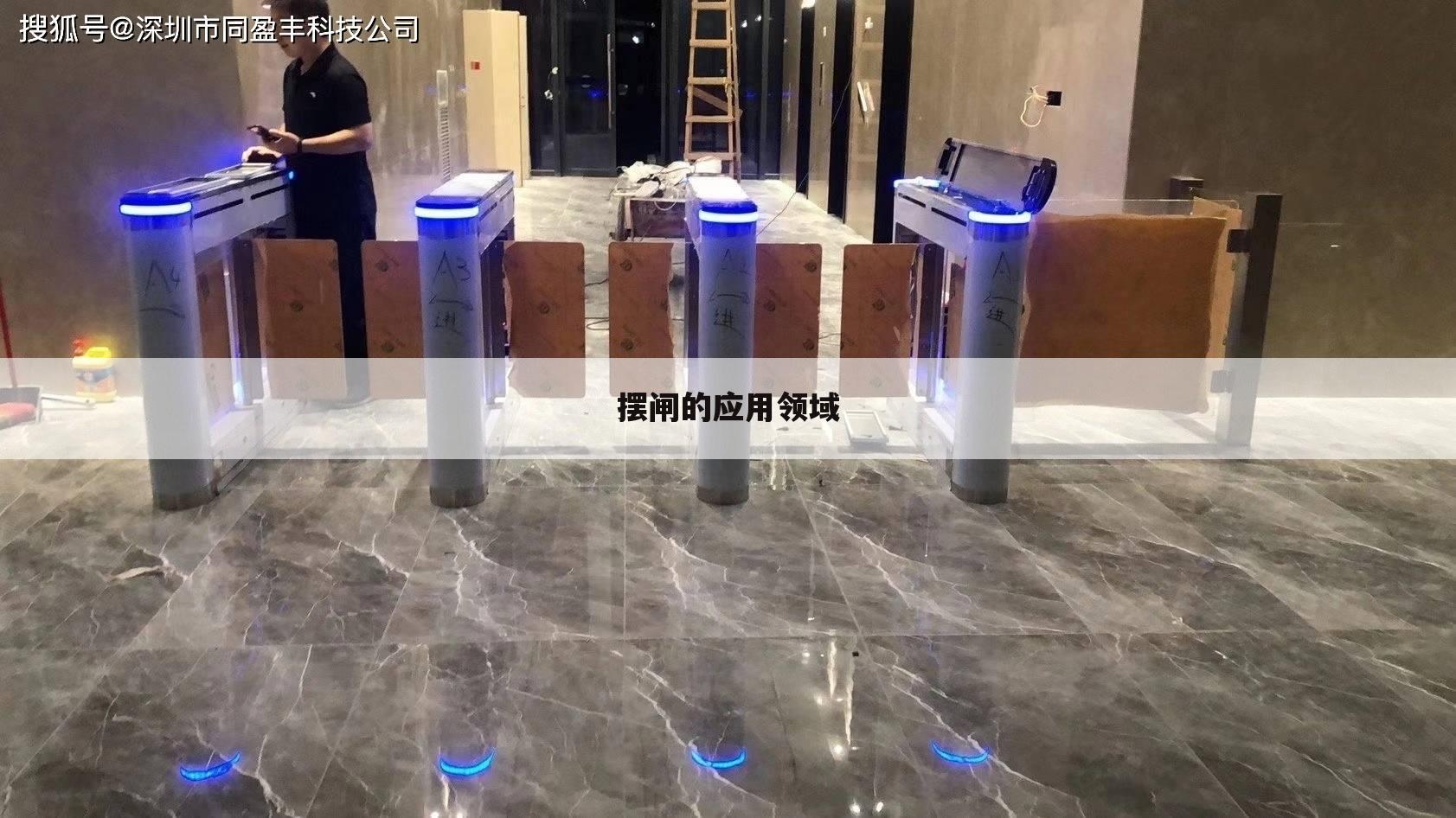 摆闸的应用领域