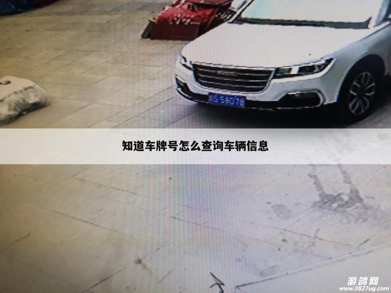 知道车牌号怎么查询车辆信息