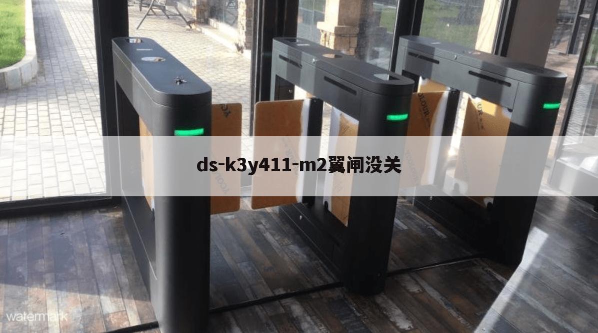 ds-k3y411-m2翼闸没关