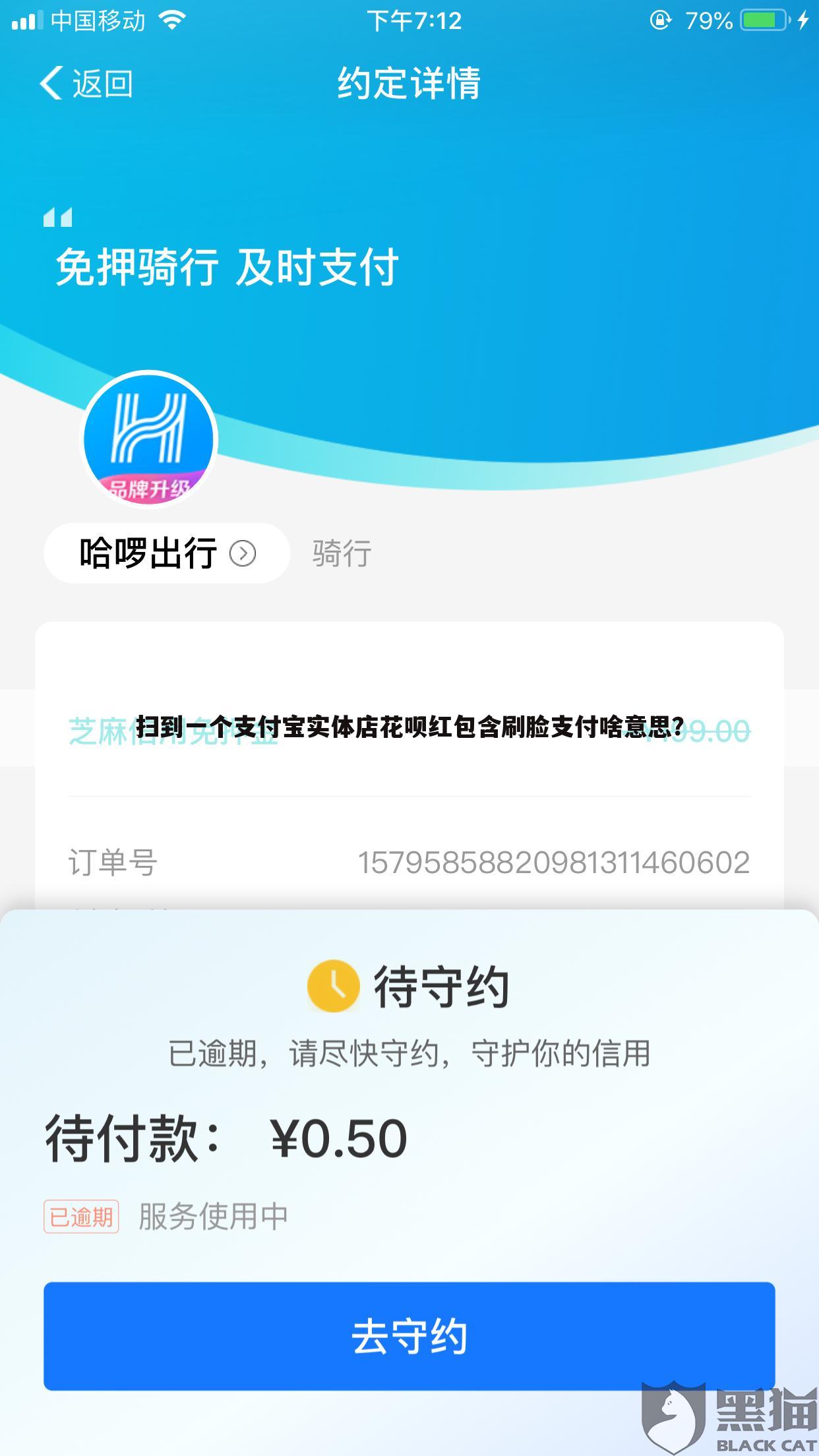 扫到一个支付宝实体店花呗红包含刷脸支付啥意思?