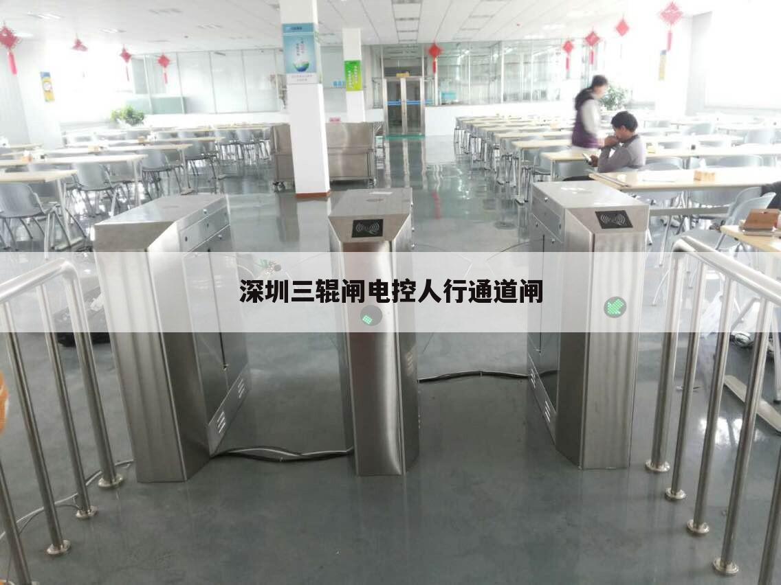 深圳三辊闸电控人行通道闸