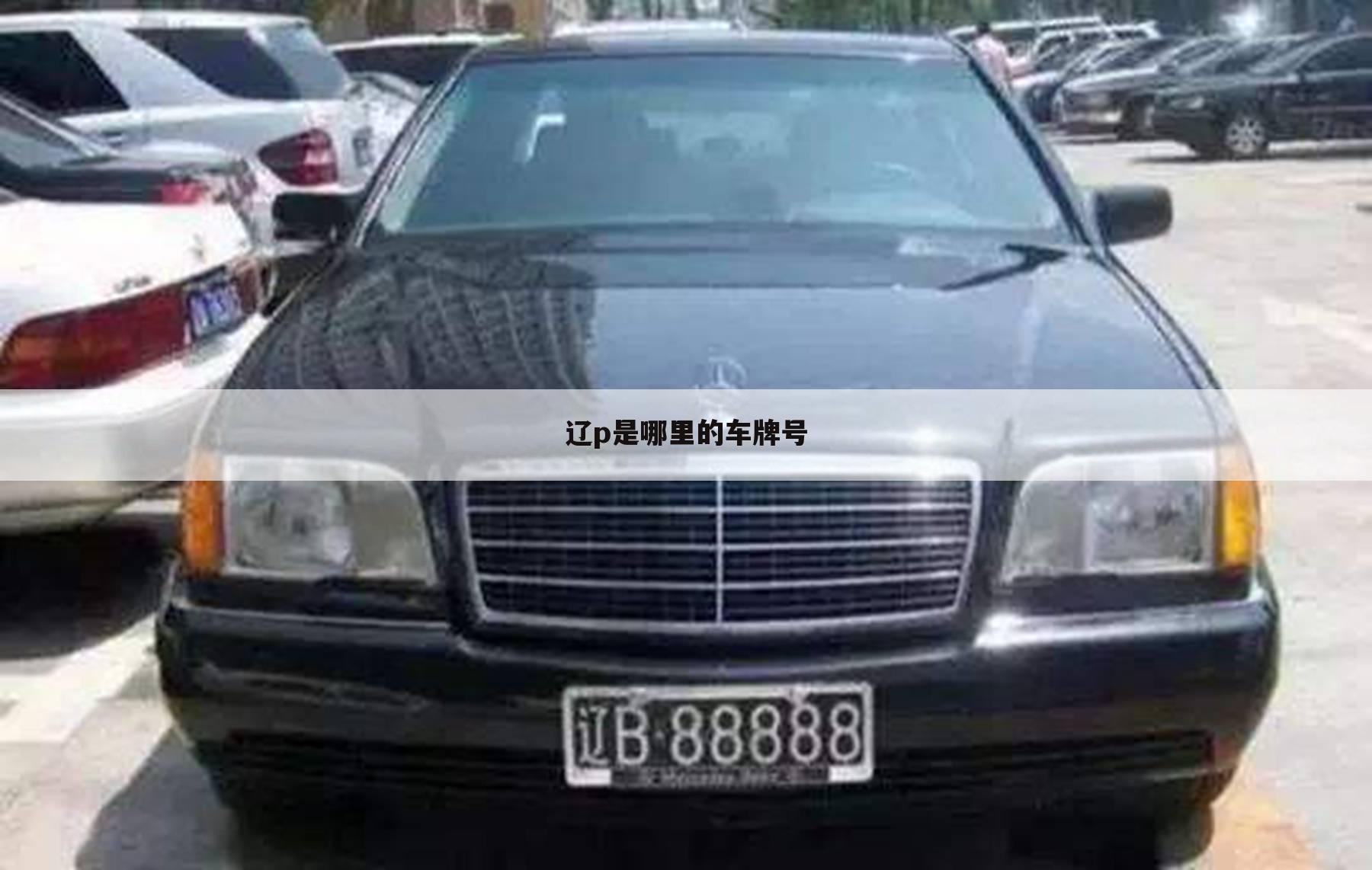 辽p是哪里的车牌号