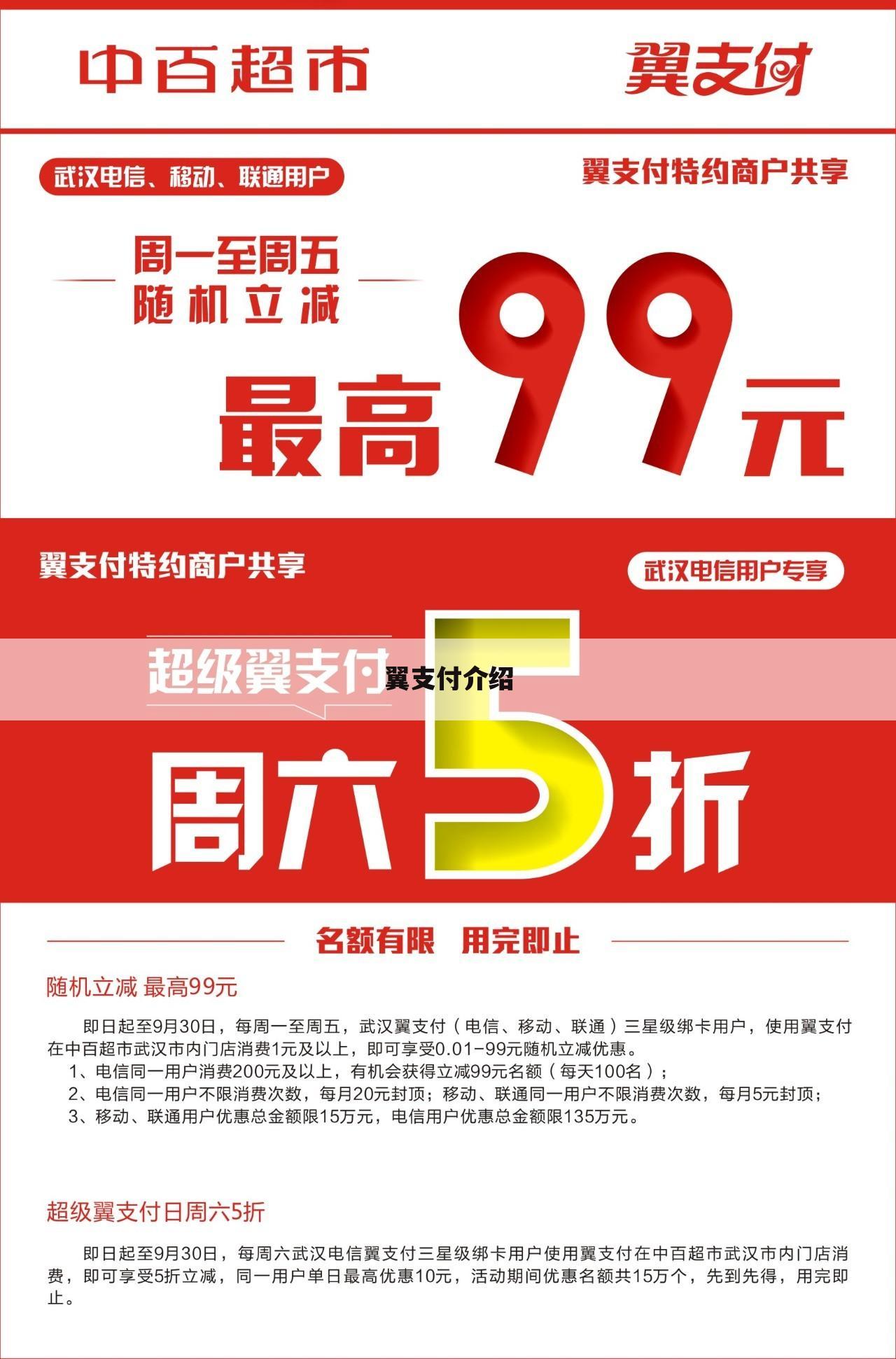 翼支付介绍