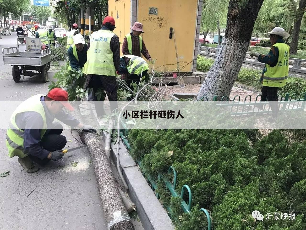 小区栏杆砸伤人