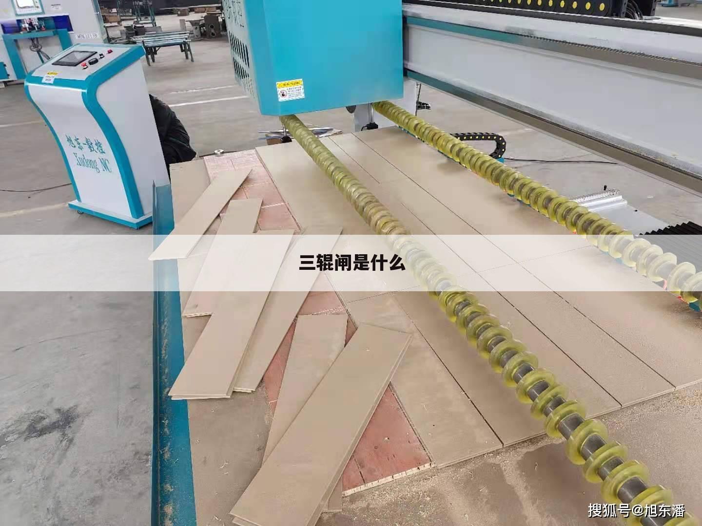 三辊闸是什么