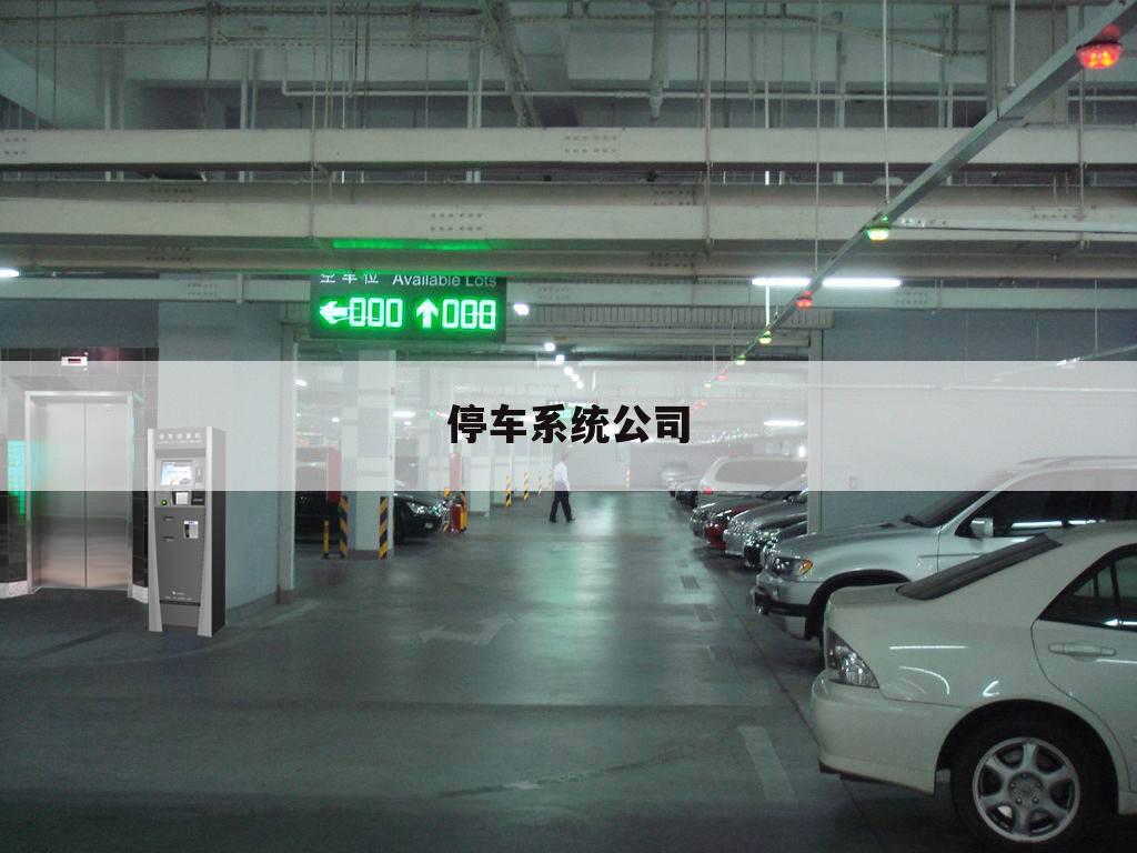 停车系统公司