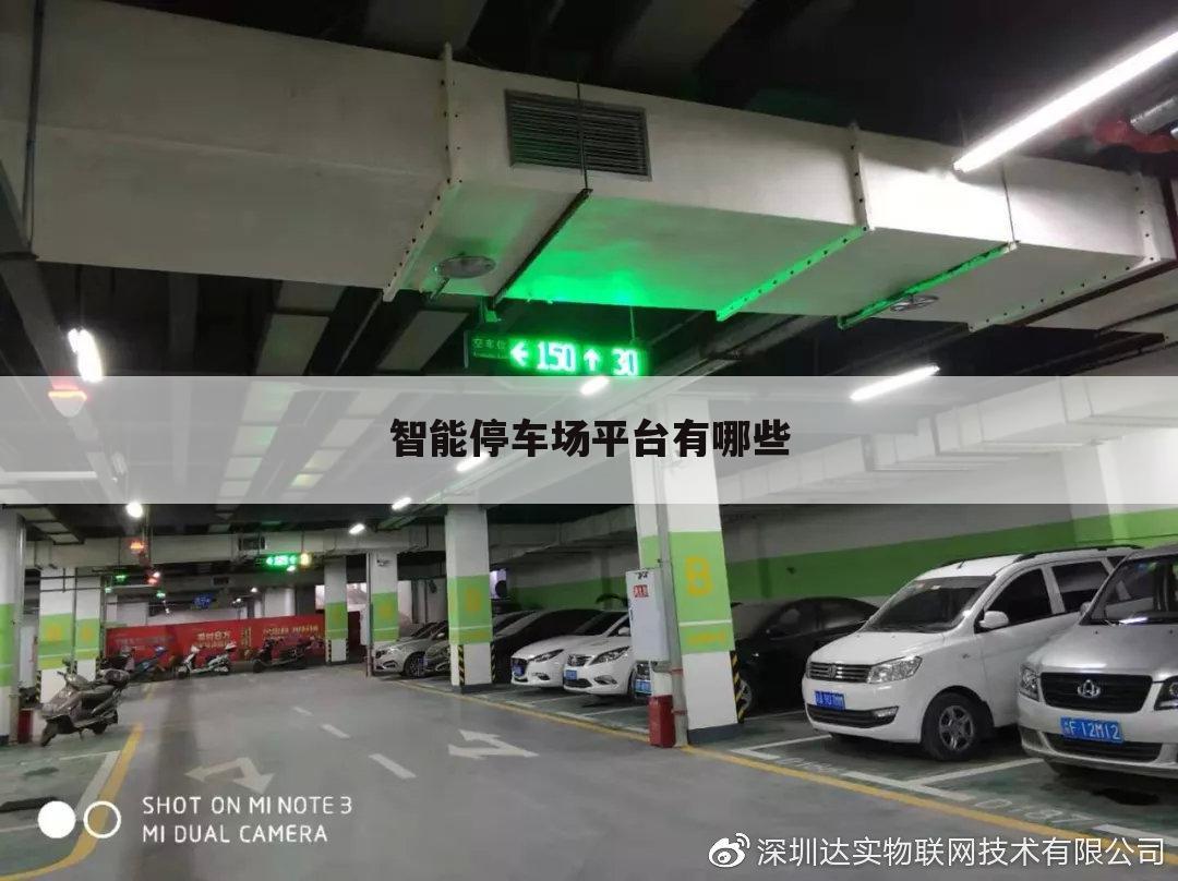 智能停车场平台有哪些