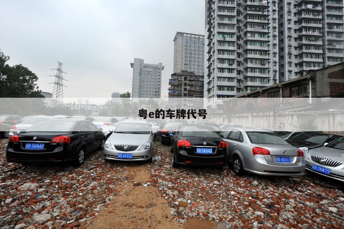 粤e的车牌代号