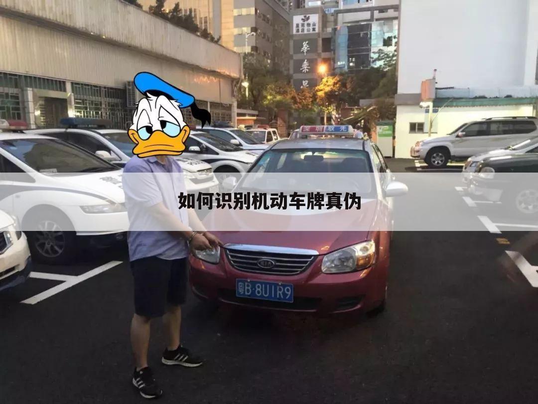 如何识别机动车牌真伪