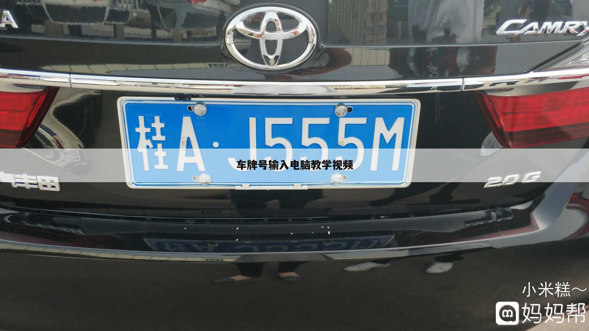 车牌号输入电脑教学视频