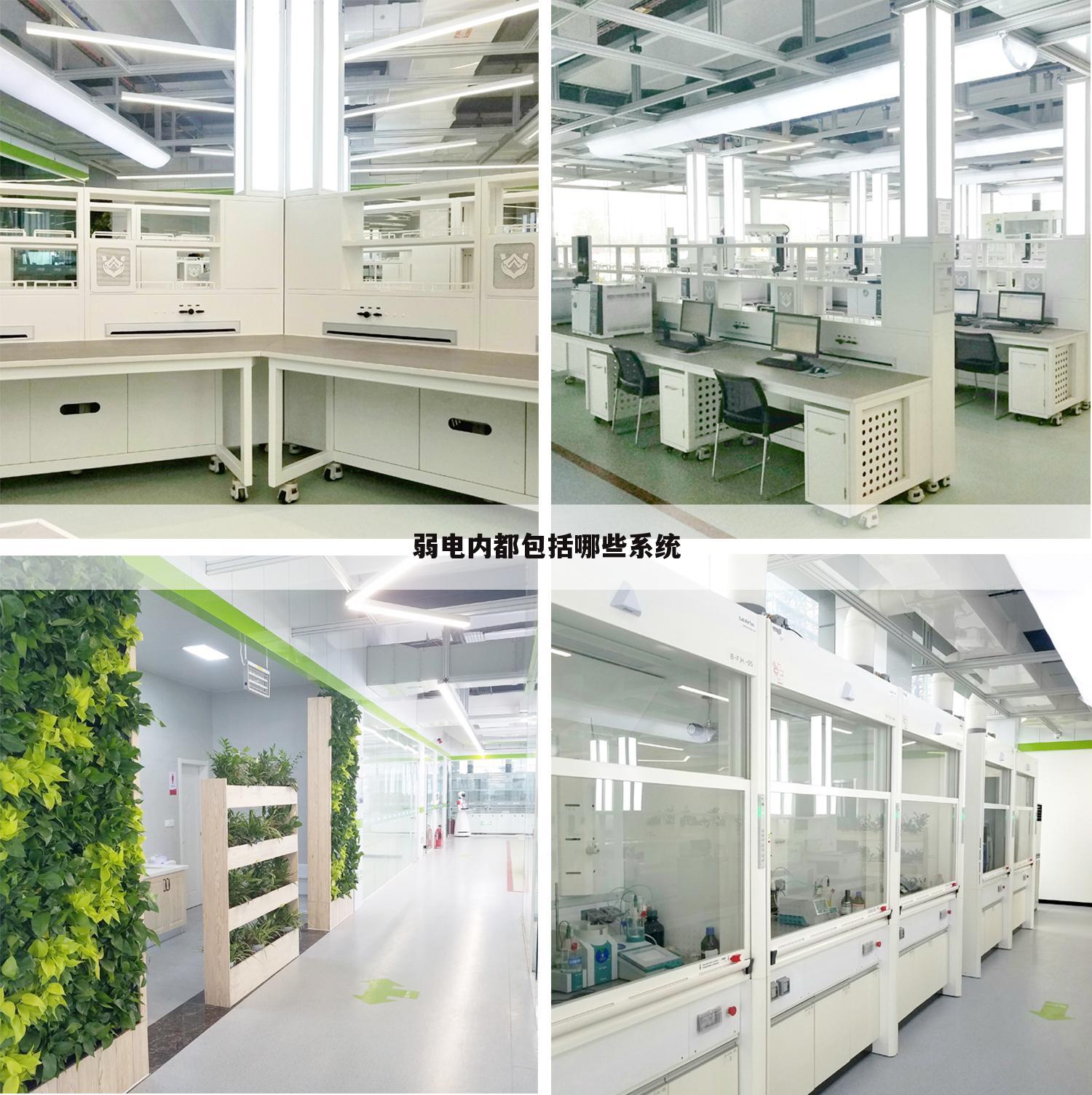 弱电内都包括哪些系统