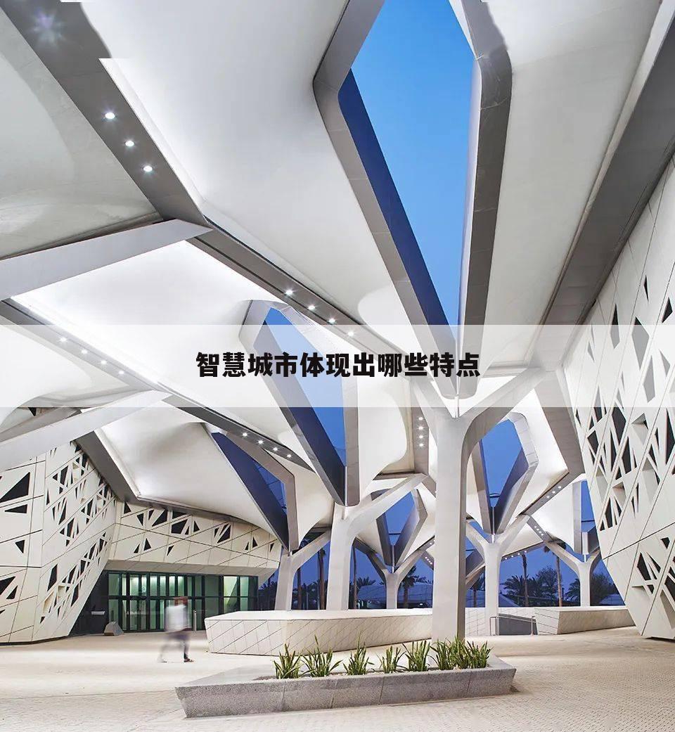 智慧城市体现出哪些特点