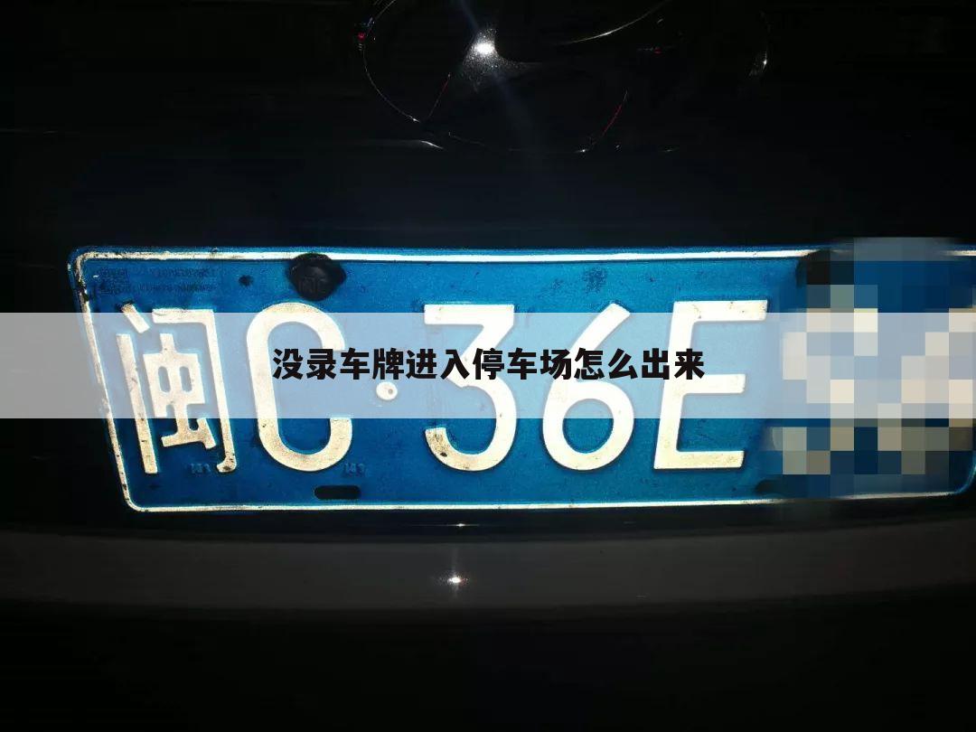 没录车牌进入停车场怎么出来