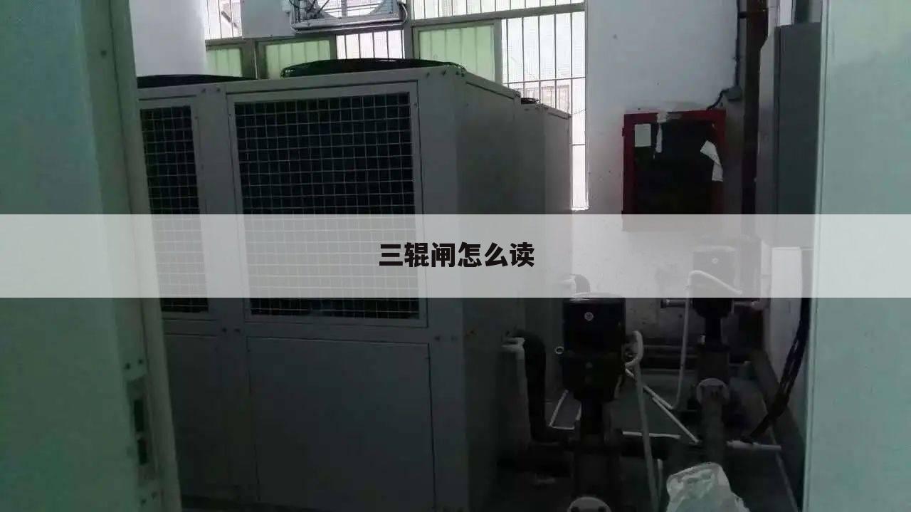三辊闸怎么读