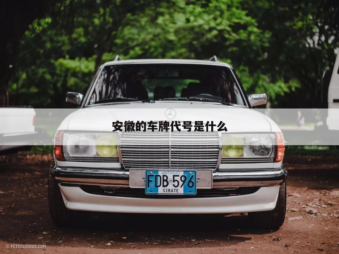 安徽的车牌代号是什么