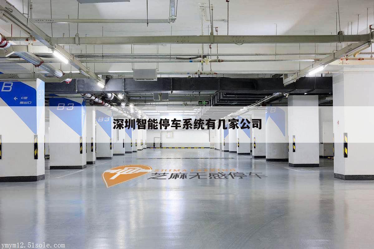 深圳智能停车系统有几家公司