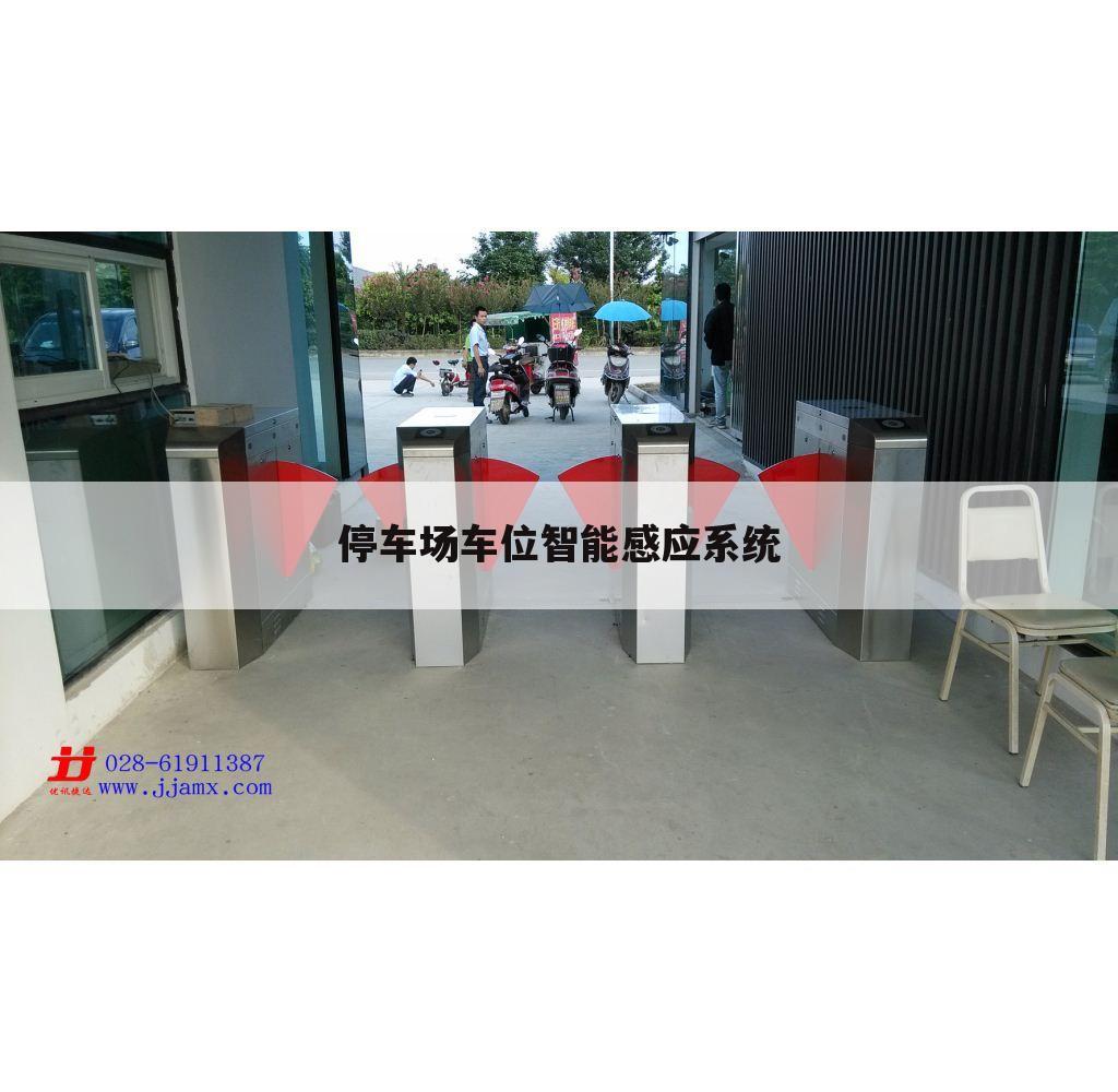 停车场车位智能感应系统