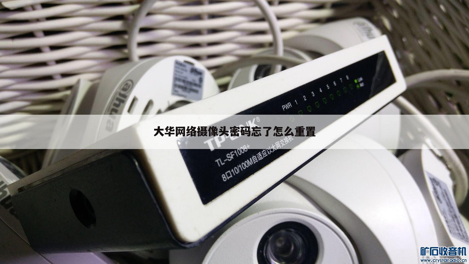 大华网络摄像头密码忘了怎么重置