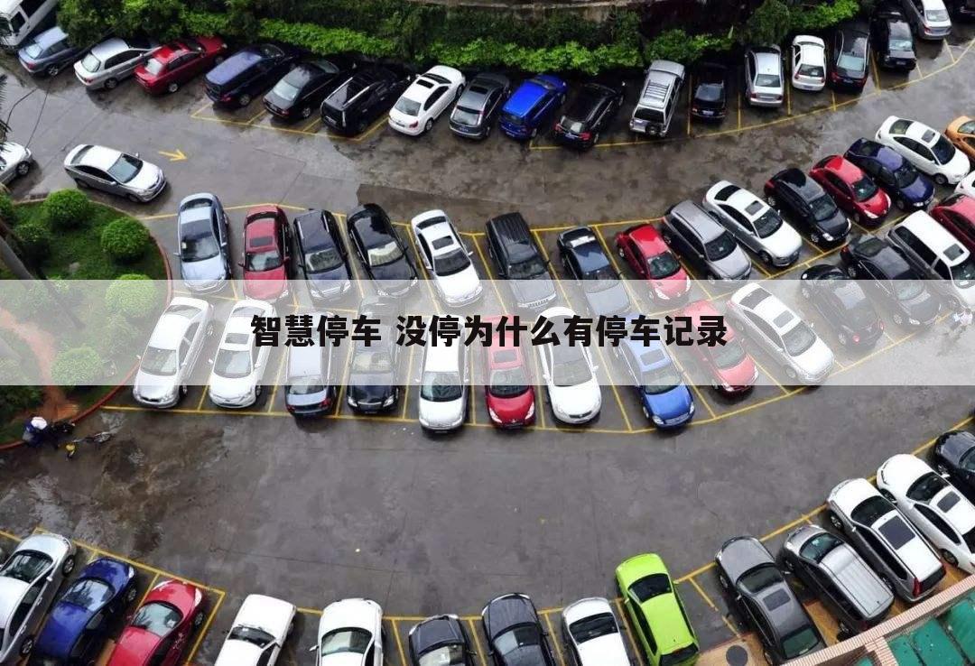 智慧停车 没停为什么有停车记录