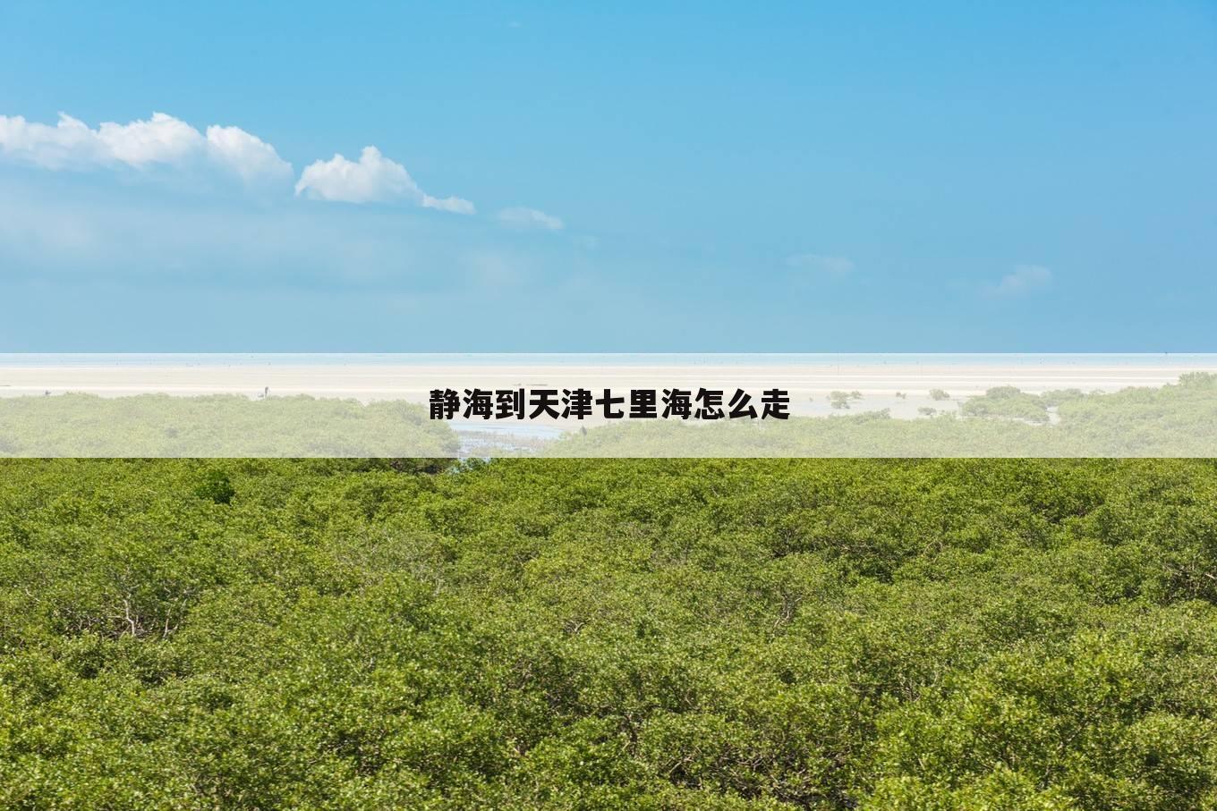 静海到天津七里海怎么走