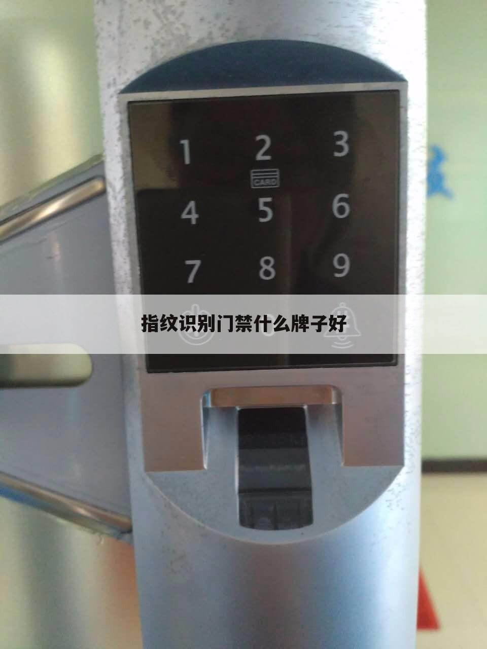 指纹识别门禁什么牌子好