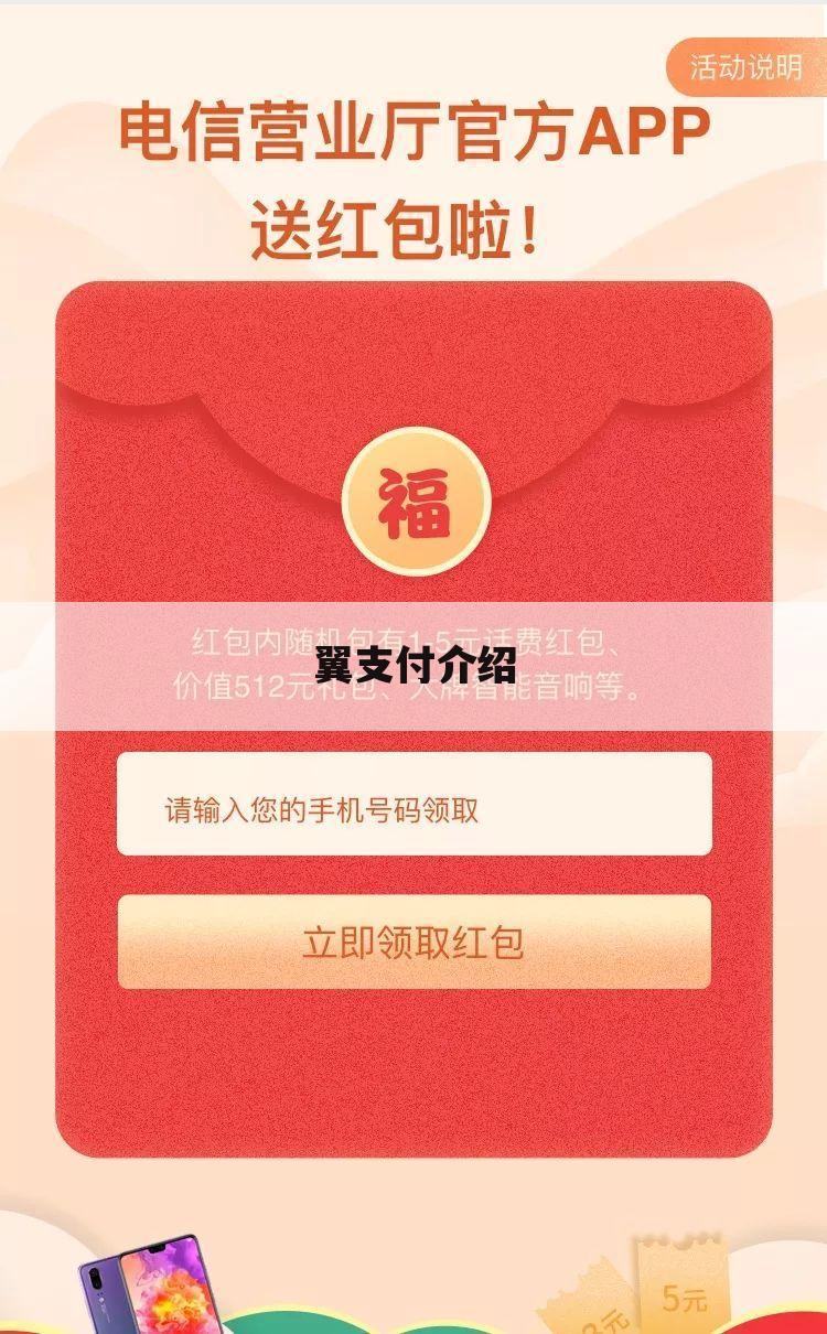 翼支付介绍