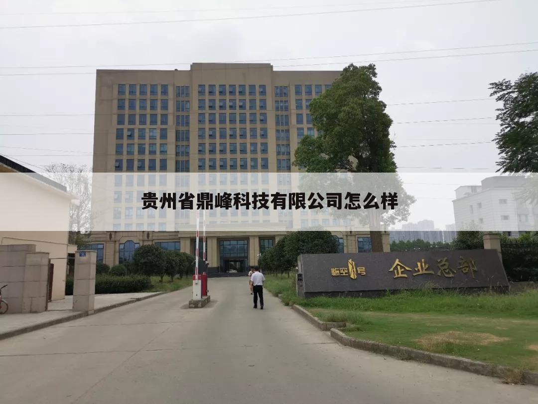 贵州省鼎峰科技有限公司怎么样