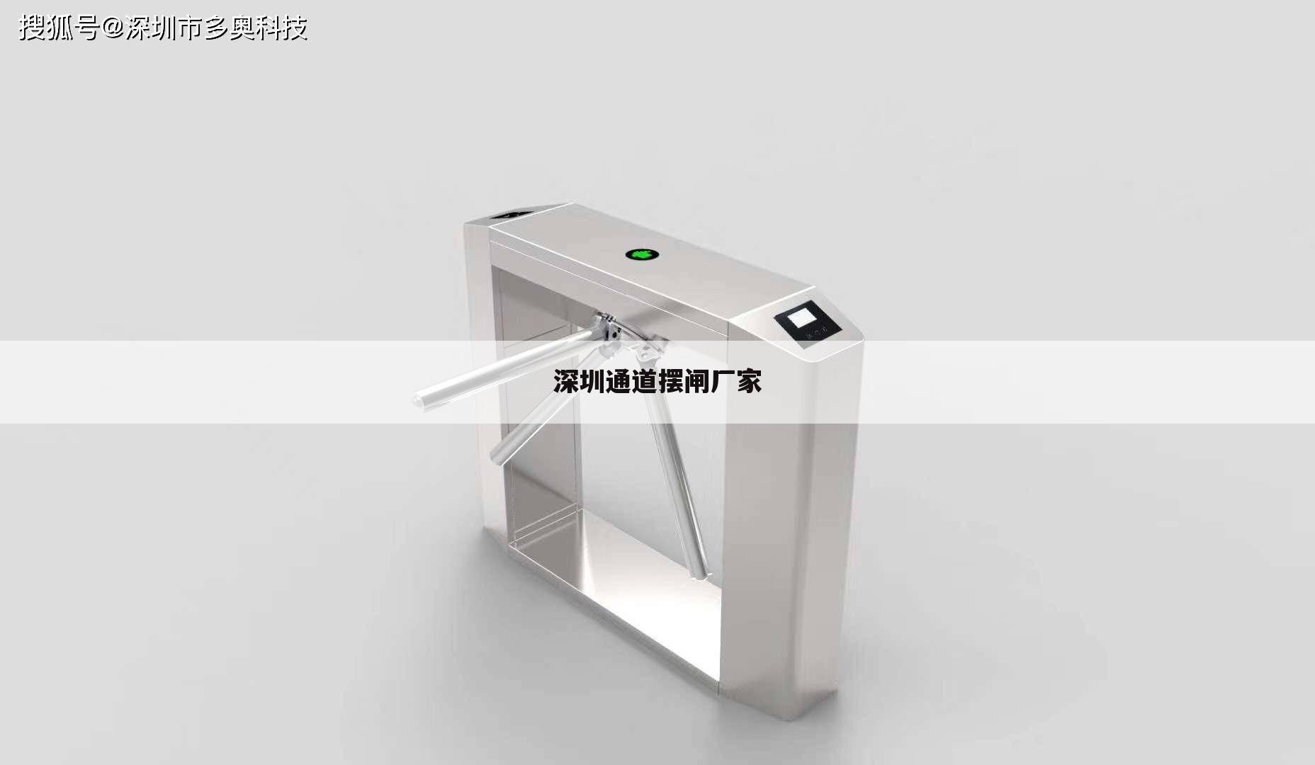 深圳通道摆闸厂家