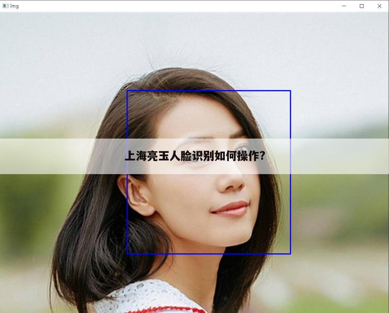 上海亮玉人脸识别如何操作?