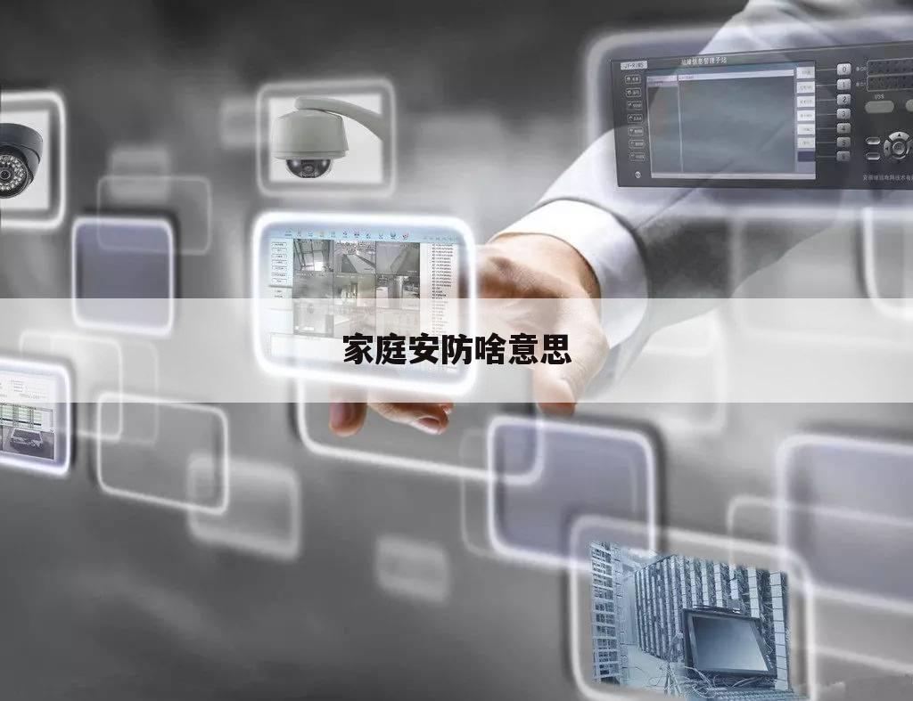家庭安防啥意思