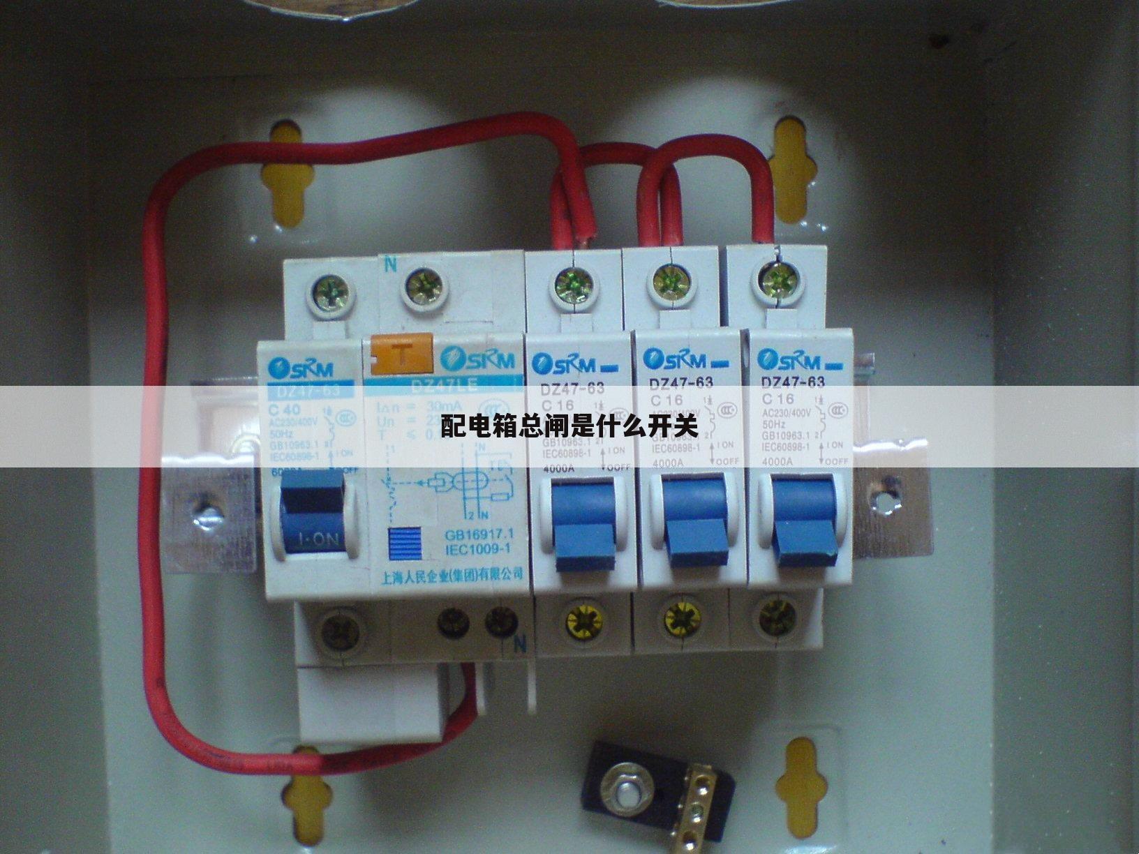 配电箱总闸是什么开关