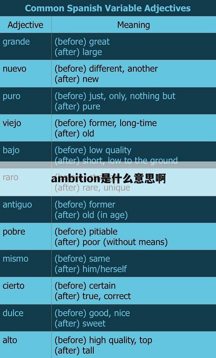 ambition是什么意思啊