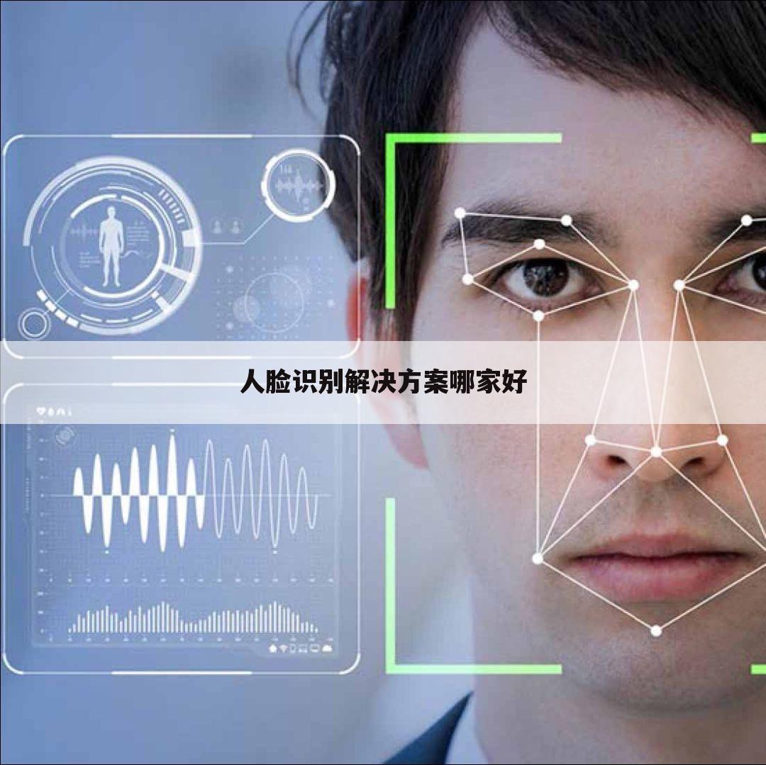 人脸识别解决方案哪家好