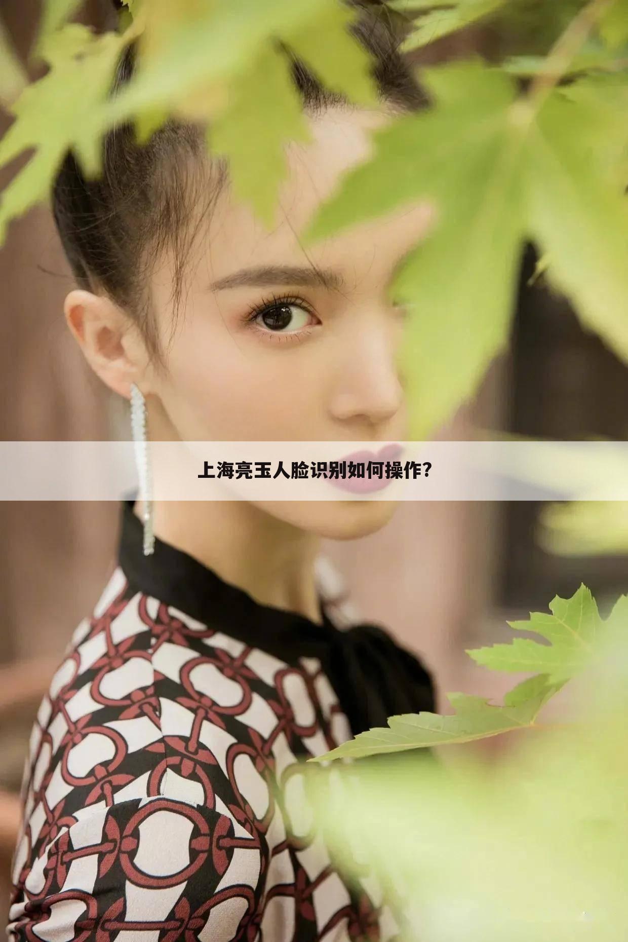 上海亮玉人脸识别如何操作?