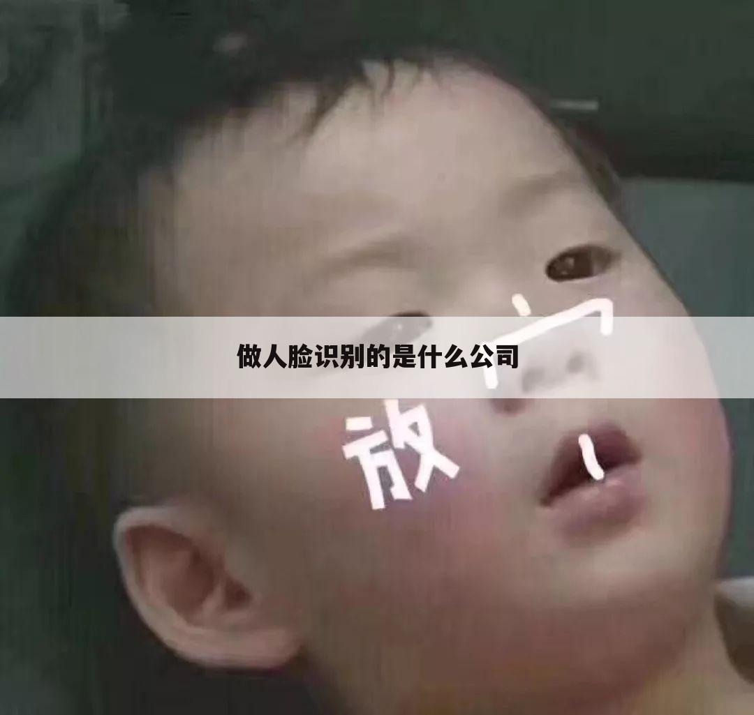 做人脸识别的是什么公司