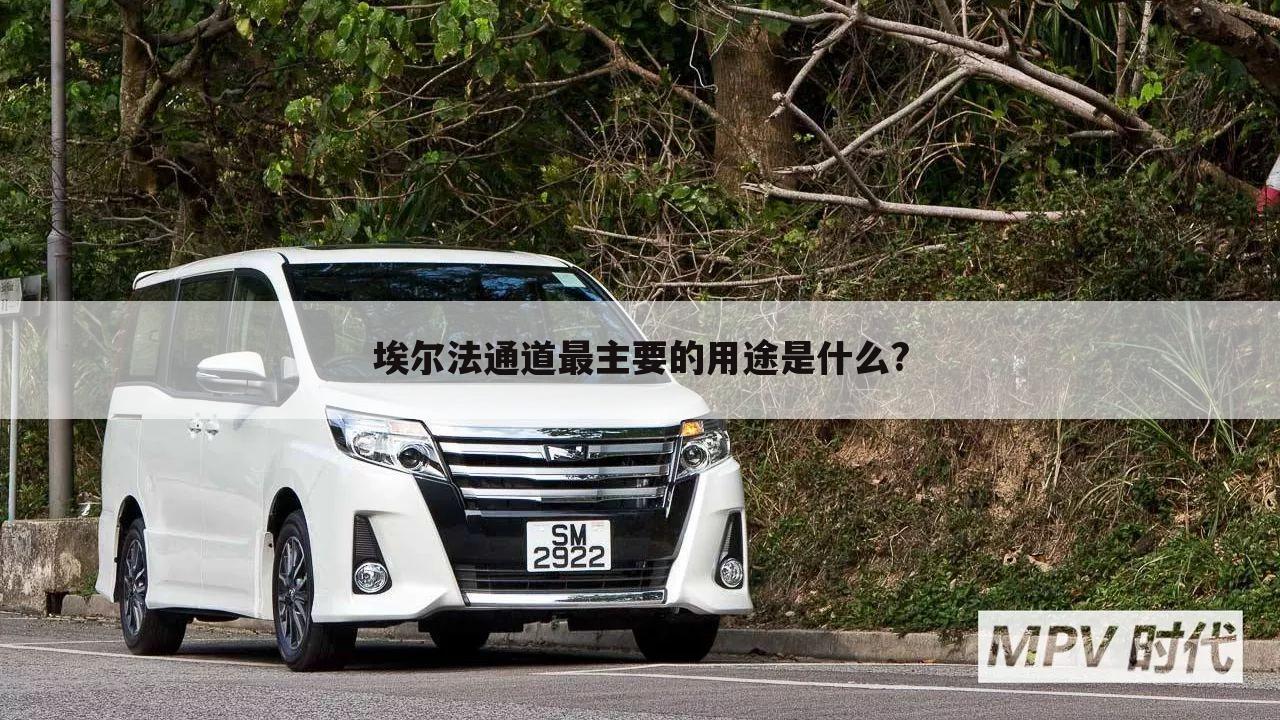 埃尔法通道最主要的用途是什么?