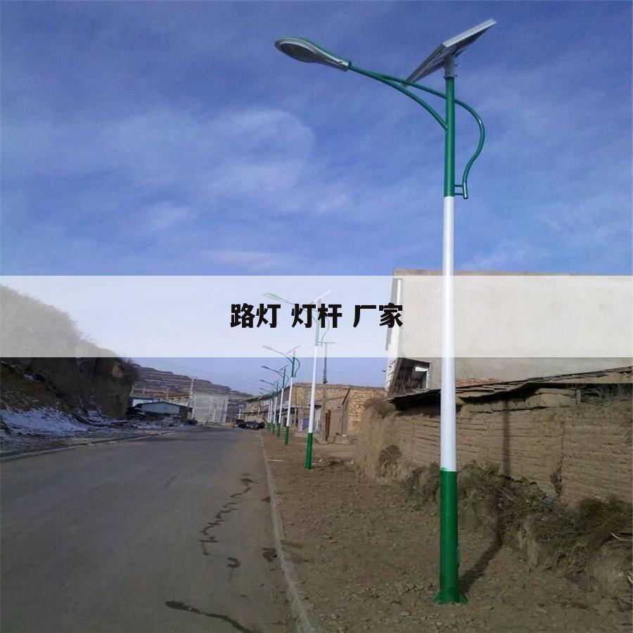 路灯 灯杆 厂家