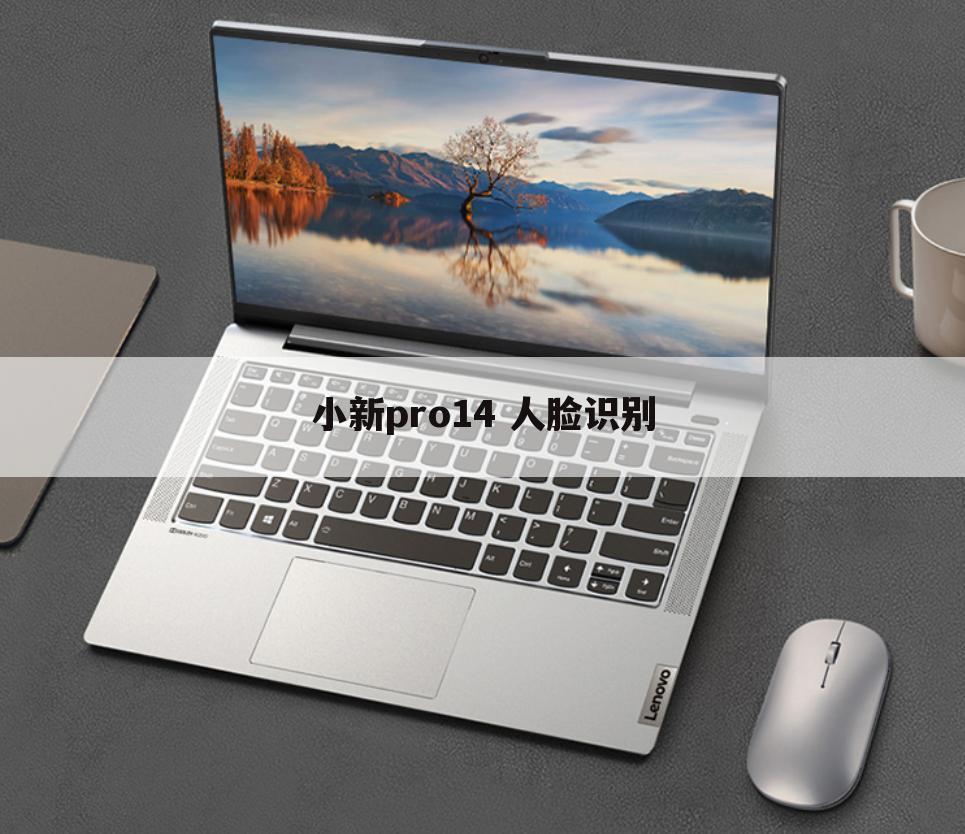 小新pro14 人脸识别