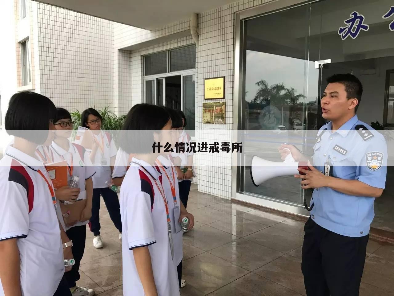 什么情况进戒毒所