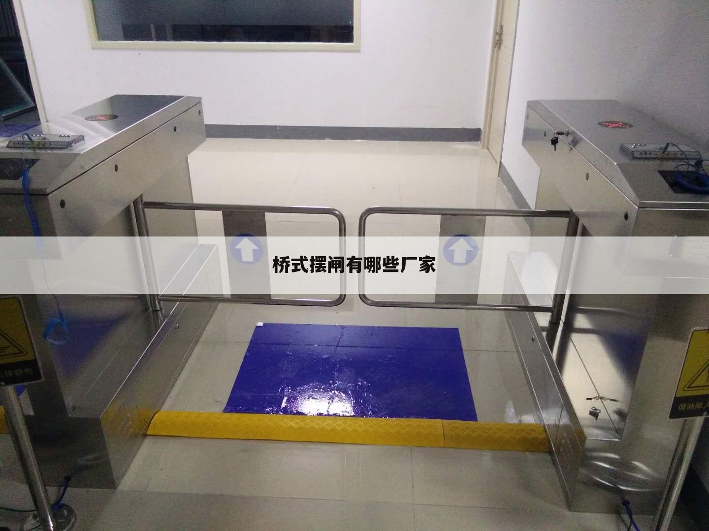 桥式摆闸有哪些厂家