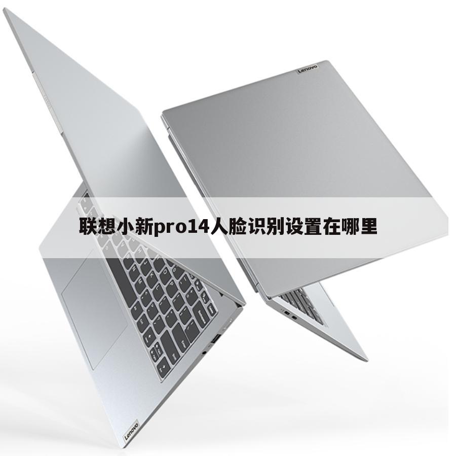 联想小新pro14人脸识别设置在哪里
